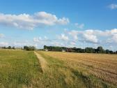 1.12 ha žėmės sklypas Karalių k., Vilkaviškio r. - nuotraukos Nr. 9