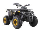 Benzininis keturratis Tao Fourcraft 125cc - nuotraukos Nr. 2