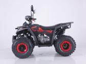 Benzininis keturratis Tao Fourcraft 125cc - nuotraukos Nr. 5