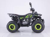 Benzininis keturratis Tao Fourcraft 125cc - nuotraukos Nr. 6
