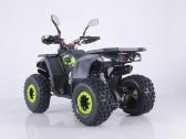 Benzininis keturratis Tao Fourcraft 125cc - nuotraukos Nr. 7