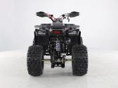 Benzininis keturratis Tao Fourcraft 125cc - nuotraukos Nr. 8