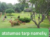 Nameliu nuoma prie ezero - nuotraukos Nr. 12
