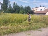 Žoles pjovimas,sklypu priežiura - nuotraukos Nr. 2