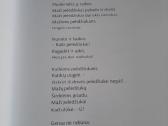 Pelėda žino - nuotraukos Nr. 3