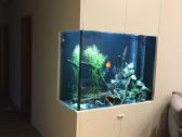 Akvariumai, spintelės, dangčiai pagal užsakymą - nuotraukos Nr. 3