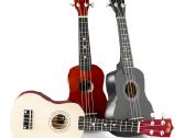 Ukulele rinkinys soprano 21" juoda - nuotraukos Nr. 14