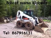 Bobcat nuoma Klaipėda - nuotraukos Nr. 4