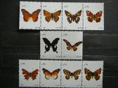 Drugeliai Malavis 2011 svarus mlw11 - nuotraukos Nr. 2
