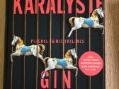 Knyga Gin Phillips Baimės Karalystė