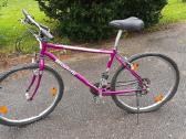 Bianchi dviratis