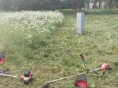 Žoles pjovimas,sklypu priežiura - nuotraukos Nr. 5
