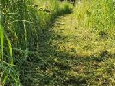Žolės pjovimas/kelmu nufrezavimas ir kiti darbai - nuotraukos Nr. 12