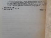 Laimuonis Puras "Liepsnojantis piliakalnis" 1990 m - nuotraukos Nr. 2