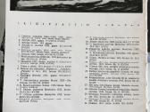 Trečio reicho pašto ženklų albumas - nuotraukos Nr. 14