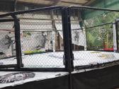 Mma narvas ir ringas. 7-7m. Aukstis 80cm.nesunkus - nuotraukos Nr. 2