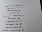 Katinas Kasperas - nuotraukos Nr. 4