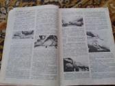 Įvairios knygos apie mediciną rusų, lietuvių kalbo - nuotraukos Nr. 5