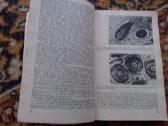 Įvairios knygos apie mediciną rusų, lietuvių kalbo - nuotraukos Nr. 12