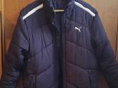 Puma ziemine striuke