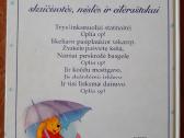 Mikės Pukuotuko knyga - nuotraukos Nr. 2
