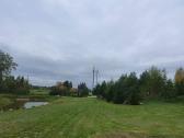 Žolės pjovimas/kelmu nufrezavimas ir kiti darbai - nuotraukos Nr. 18