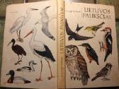 Logminas Lietuvos paukščiai 1979 m puiki bukle