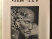 Meilės ugnis. Kun. K. A. Matulaitis
