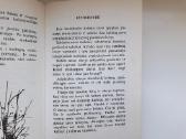 Meniškos miniatiūros apie žūklę ir gamtą - nuotraukos Nr. 4