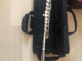 Klarnetas, Fleita , Casio Dh-100, Miraphone 1-k
