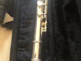 Klarnetas, Fleita , Casio Dh-100, Miraphone 1-k - nuotraukos Nr. 4