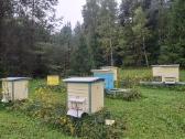 Aviliai, bičių šeimos, kita avilio įranga - nuotraukos Nr. 3