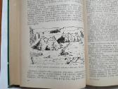 Žmogaus ir pirmykštės visuomenės kilmė bei raida - nuotraukos Nr. 15