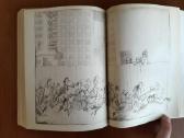 S. Prokofjeva "Burtininko mokinys" 1987 metai - nuotraukos Nr. 5