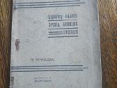 1919 m.knyga Lietuvių tautos dvasia istorijos švie