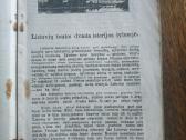 1919 m.knyga Lietuvių tautos dvasia istorijos švie - nuotraukos Nr. 3