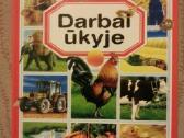 Knyga vaikams "Darbai ūkyje"