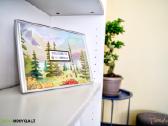 Anglų Kalbos Korepetitoriai Kaune, Vbe vertintojai - nuotraukos Nr. 13