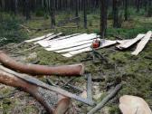 Isilginio pjovimo medienos staklytes, gateriukas - nuotraukos Nr. 27