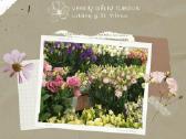 Ieškomi floristai-pardavėjai