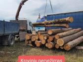 Krovinių pervežimas. Fiskaras - nuotraukos Nr. 22