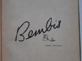 Knyga"bembis" - nuotraukos Nr. 2