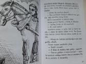 Lietuviškų pasakų knyga - nuotraukos Nr. 5