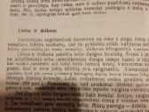 Knyga vairuojantiems - nuotraukos Nr. 7