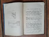 R. Kipling "Maugli" 1958 god - nuotraukos Nr. 5