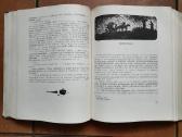 I. Gončarovas "Skardis" 1951 metai - nuotraukos Nr. 5