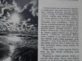Palanga+kuršių Nerija - nuotraukos Nr. 12