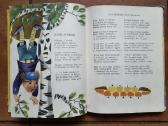Kostas Kubilinskas "Gintarėliai" 1969 metai - nuotraukos Nr. 8