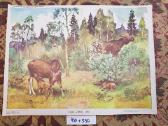 Plakatai piešiniai 1970metai,laiškadežė. - nuotraukos Nr. 15