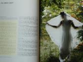 Vestuvinės fotografijos knyga - vadovėlis - nuotraukos Nr. 5